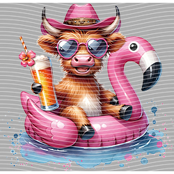 Cow-NIU 2424